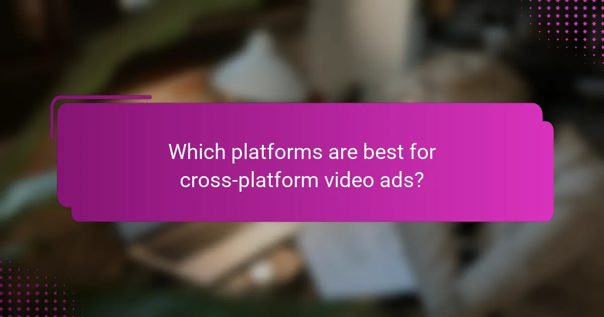 Which platforms are best for cross-platform video ads?
